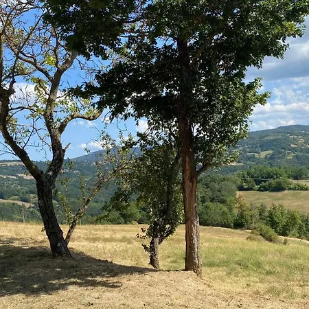 Il Casone San Benedetto Val di Sambro